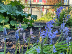 Blumen
