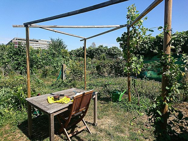 Tisch im grünen Garten mit Gartenwerkzeug drauf