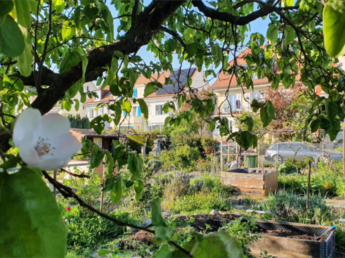 Garten im Langen Loh